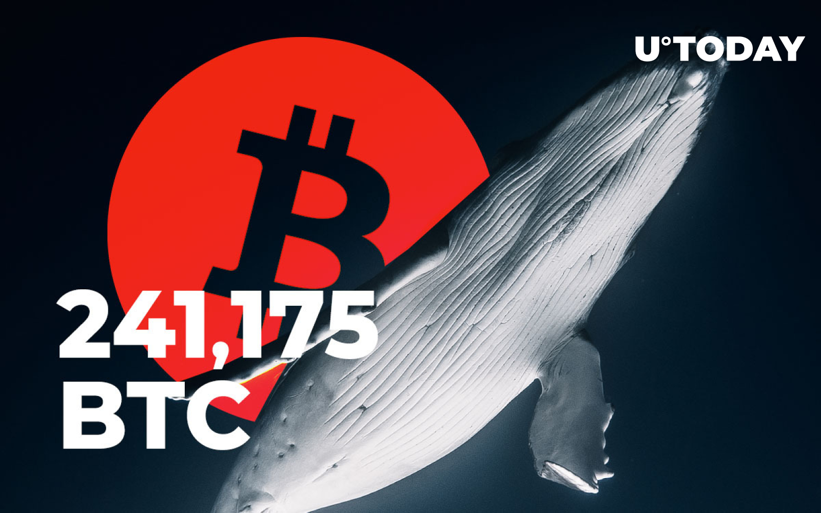 Bitcoin Whales Transfer 241,175 BTC In One Hour